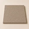 Muestra individual MicroQuarz® Terra Floor (21×21 cm)